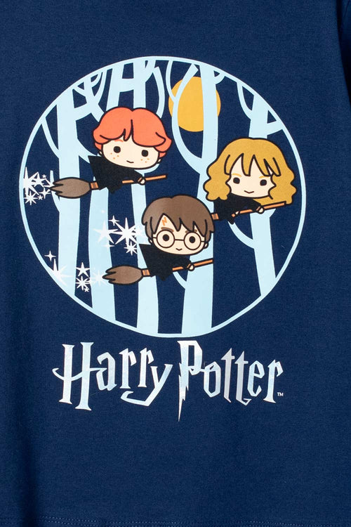 Card slide image -  CAMISETA DE HARRY POTTER AZUL MANGA LARGA PARA NIÑA
