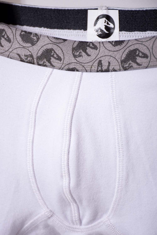 Card slide image -  PACK X2 BOXER DE JURASSIC WORLD VERDE Y BLANCO PARA NIÑO