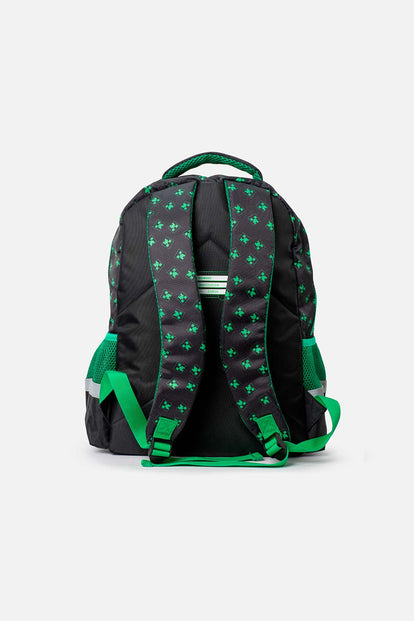 MORRAL DE MINECRAFT 16.5