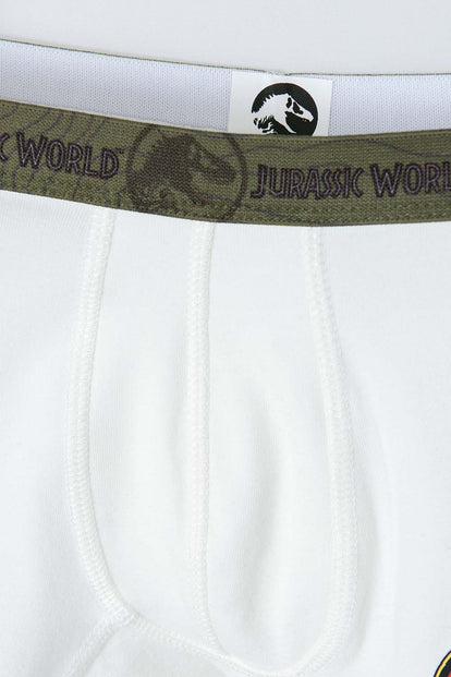 PACK X2 BOXER DE JURASSIC WORLD MARFIL Y VERDE PARA NIÑO