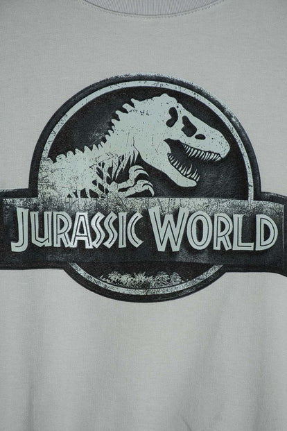 BUZO DE JURASSIC WORLD CUELLO REDONDO GRIS NIEBLA PARA NIÑO