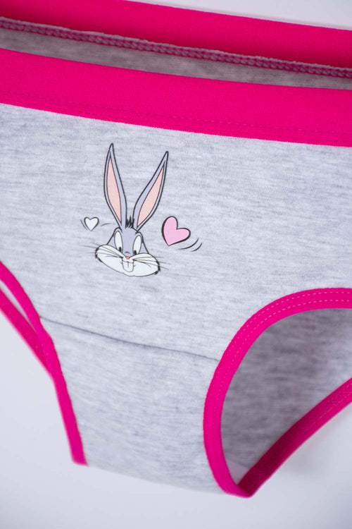 PACK X2 PANTIES DE LOS LOONEY TUNES GRIS/ROSADA PARA NIÑA