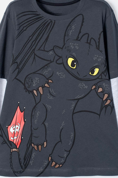 Card slide image -  CAMISETA CÓMO ENTRENAR A TU DRAGÓN GRIS MANGA LARGA PARA NIÑO