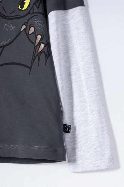 CAMISETA CÓMO ENTRENAR A TU DRAGÓN GRIS MANGA LARGA PARA NIÑO