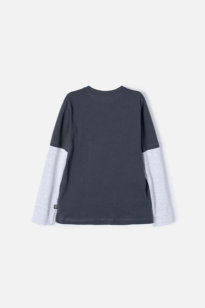 CAMISETA CÓMO ENTRENAR A TU DRAGÓN GRIS MANGA LARGA PARA NIÑO