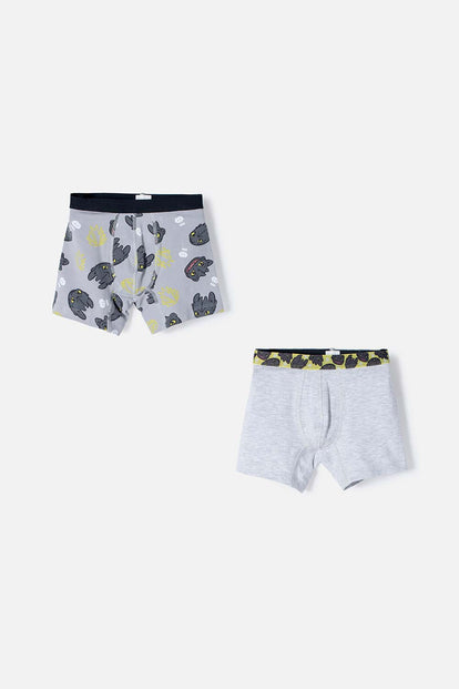  PACK X2 BOXER COMO ENTRENAR A TU DRAGÓN MULTICOLOR PARA NIÑO