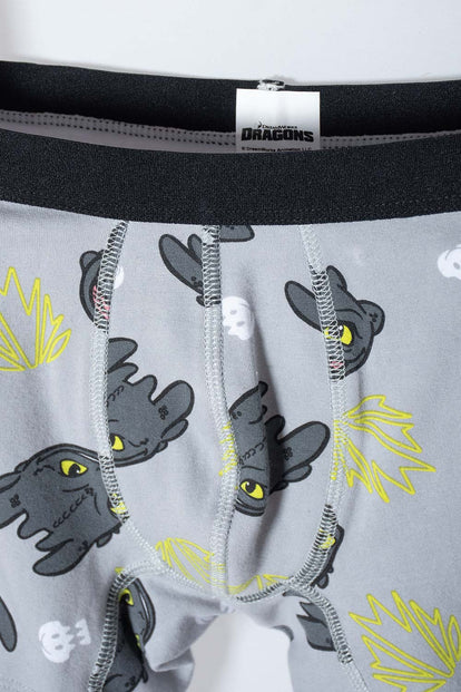 PACK X2 BOXER COMO ENTRENAR A TU DRAGÓN MULTICOLOR PARA NIÑO