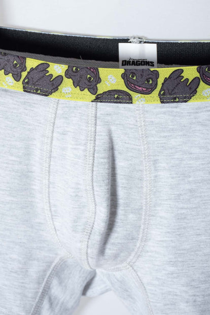  PACK X2 BOXER COMO ENTRENAR A TU DRAGÓN MULTICOLOR PARA NIÑO