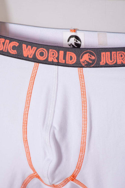 PACK X2 BOXER DE JURASSIC WORLD MULTICOLOR PARA NIÑO