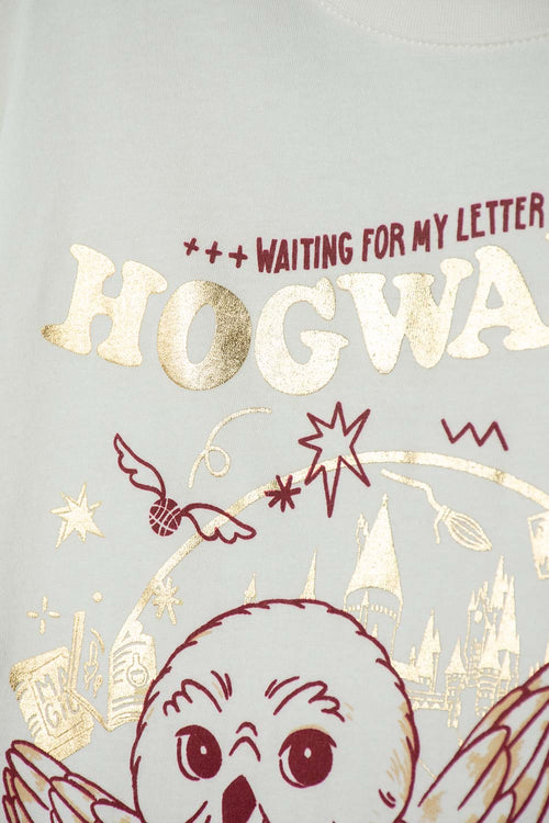 CAMISETA DE HARRY POTTER MANGA LARGA MARFIL PARA NIÑA