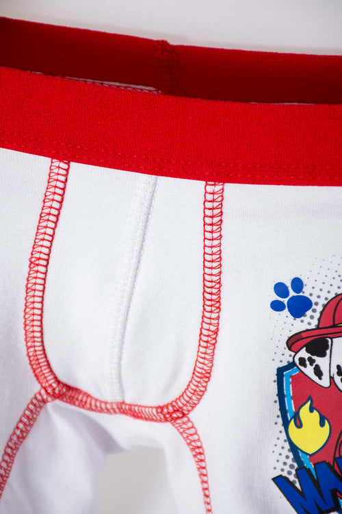 PACK X2 BÓXER DE PAW PATROL ESTAMPADO AZUL PARA NIÑO 2T A 5T