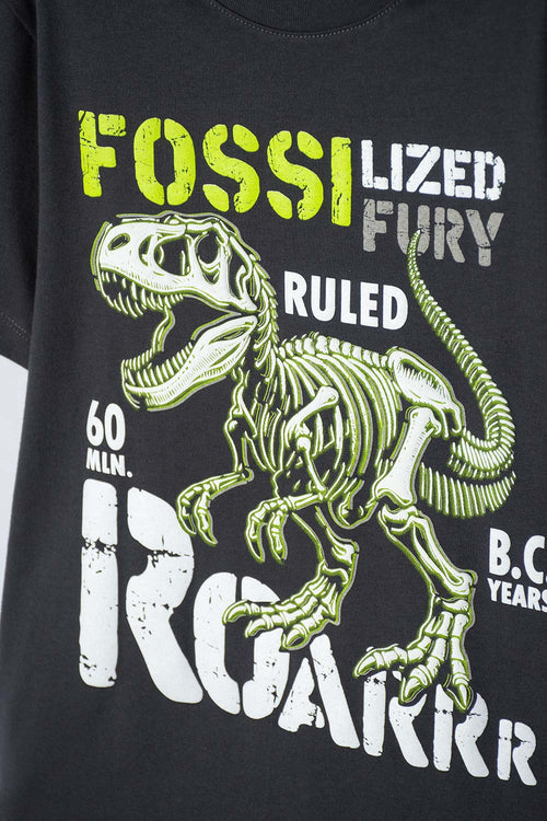 CAMISETA MIC MANGA CORTA GRIS GRAFITO PARA NIÑO