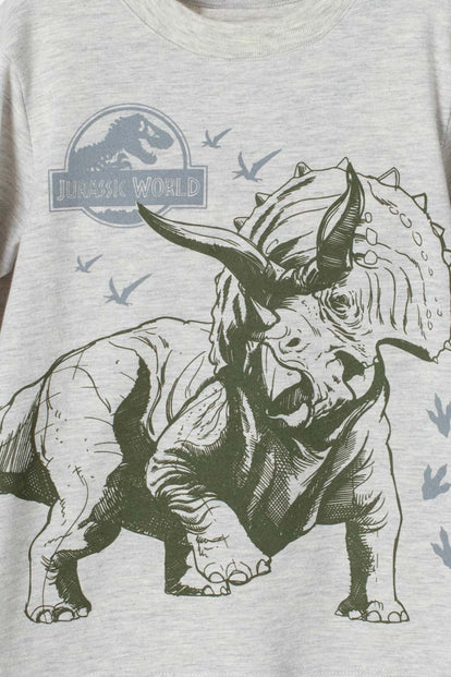 CAMISETA DE JURASSIC WORLD GRIS JASPE MANGA LARGA PARA NIÑO 2T A 5T