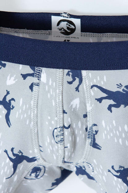  BOXER X2 DE JURASSIC WORLD AZUL Y BLANCO PARA NIÑO 2T A 5T
