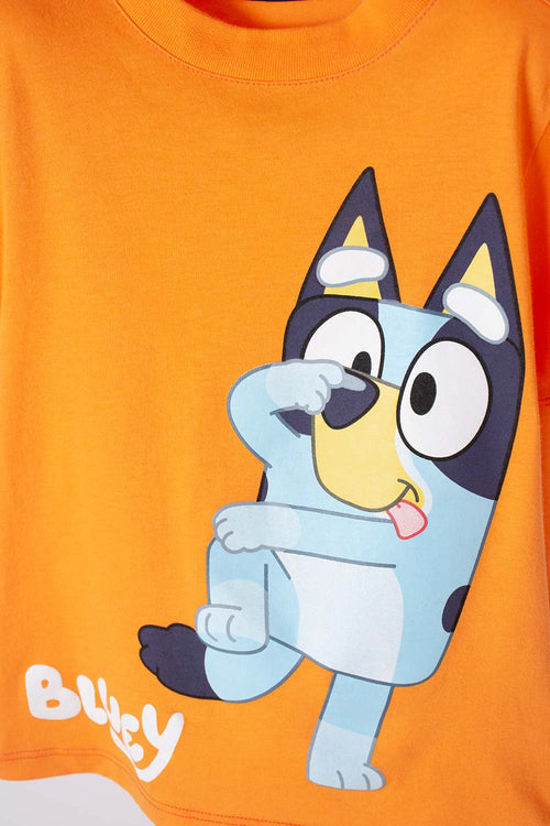 Card slide image -  CAMISETA DE BLUEY NARANJA MANGA CORTA PARA NIÑO 2T A 6T