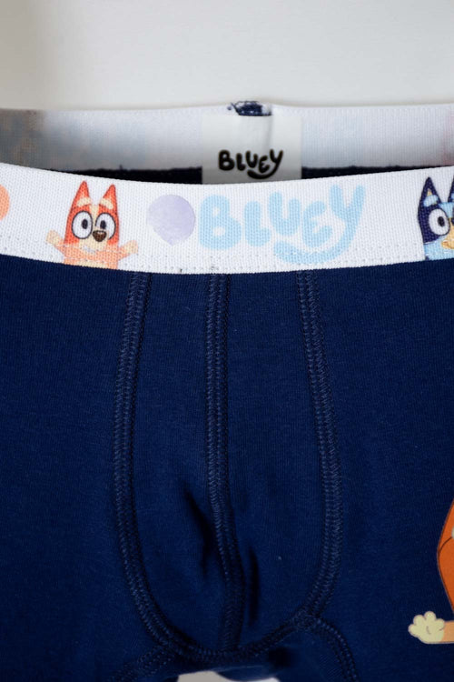 Card slide image -  PACK X2 BOXER DE BLUEY AZUL Y BLANCO PARA NIÑO 2T A 6T