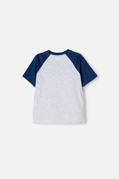 CAMISETA DE PAW PATROL MANGA CORTA GRIS PARA NIÑO 2T A 6T